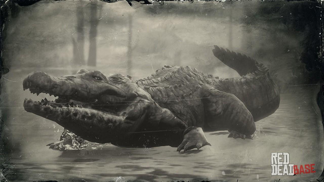 Легендарный крокодил. Легендарный крокодил в РДР 2. Легендарный Аллигатор rdr 2. Американский Аллигатор РДР 2.
