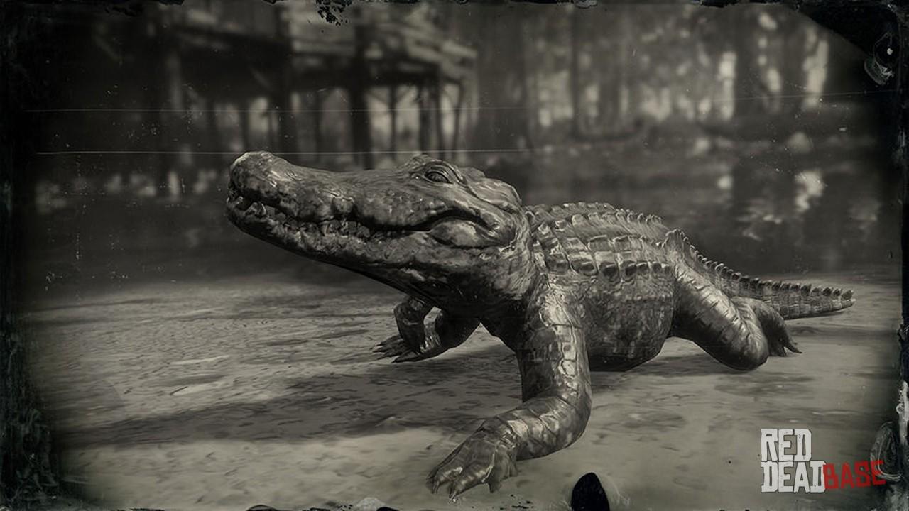 Легендарный крокодил. Легендарный Аллигатор rdr 2. Легендарный Аллигатор РДР.