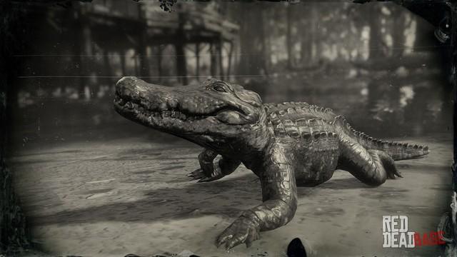 RDR2 Animal AmericanAlligatorSmall