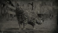 RDR2 Animal AmericanDomesticCat