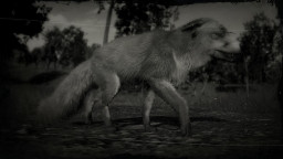 RDR2 Animal AmericanRedFox