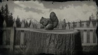 RDR2 Animal AmericanRedSquirrel