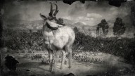 RDR2 Animal BajaCaliforniaPronghornBuck