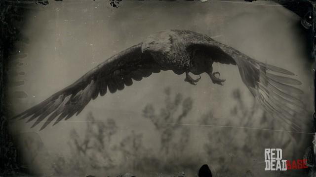 RDR2 Animal BaldEagle