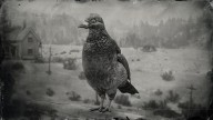 RDR2 Animal BandTailedPigeon