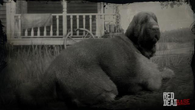 RDR2 Animal Bloodhound