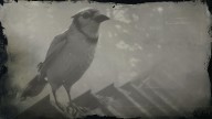 RDR2 Animal BlueJay