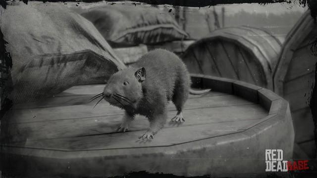 RDR2 Animal BrownRat