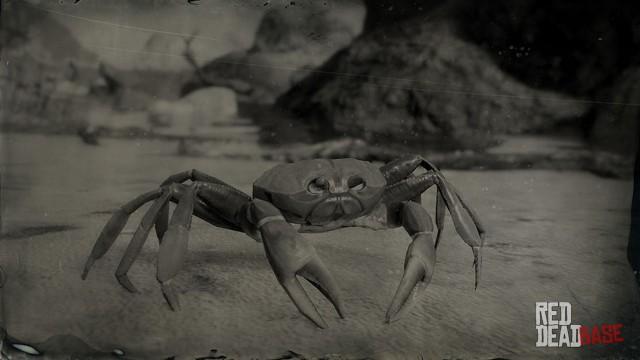 RDR2 Animal CubanLandCrab