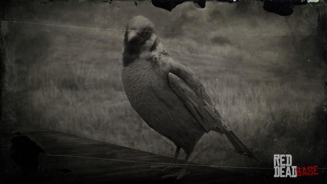 RDR2 Animal EurasianTreeSparrow
