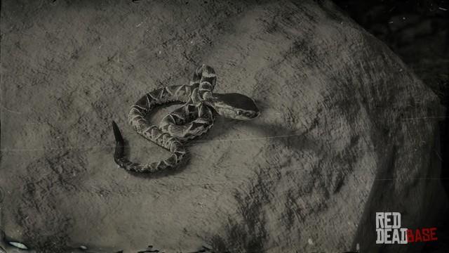 RDR2 Animal FerDeLanceSnake