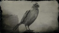 RDR2 Animal GoldenCrownedSparrow