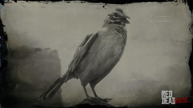 RDR2 Animal GoldenCrownedSparrow