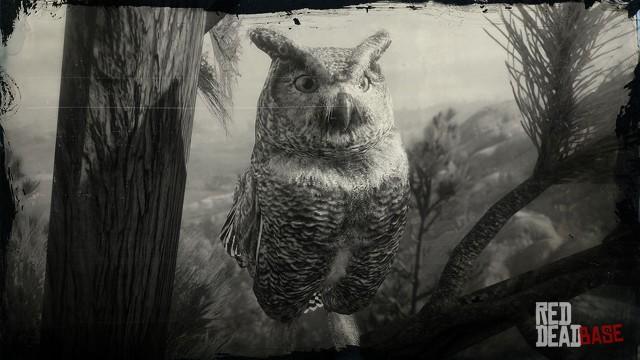 RDR2 Animal GreatHornedOwl