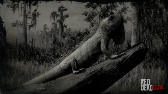 RDR2 Animal GreenIguana