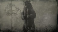 RDR2 Animal GrizzlyBear