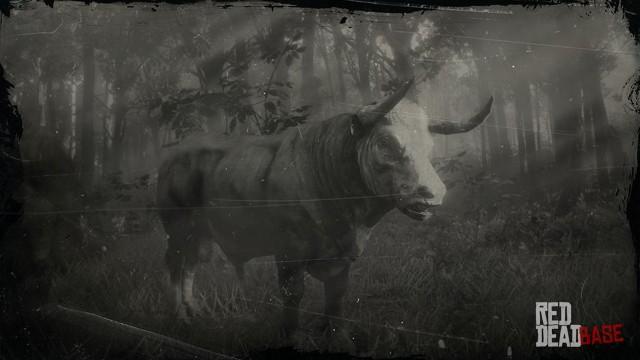 RDR2 Animal HerefordBull