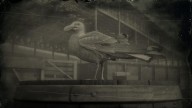 RDR2 Animal HerringGull