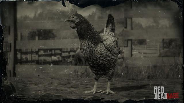 RDR2 Animal JavaChicken