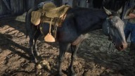 RDR2 Horses DutchWarmblood SealBrownDutchWarmblood