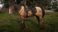 RDR2 Horses MissouriFoxTrotter AmberChampagneMissouriFoxTrotter