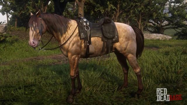 Amber Champagne Missouri Fox Trotter - RDR2 & Online Horse Stats & Locations Amber Champagne Missouri Fox Trotter - RDR2 & Online Horse Stats & Locations