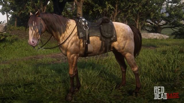 Amber Champagne Missouri Fox Trotter - RDR2 Horse