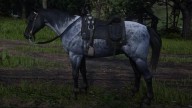 RDR2 Horses NokotaHorse ReverseDappleRoanNokotaHorse