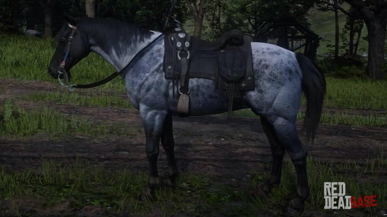 Red Dead Redemption 2 cavalo nokota ruano blue #reddead2