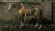 RDR2 Horses Turkoman GoldTurkoman