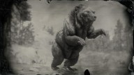 RDR2 Animal LegendaryBharatiGrizzlyBear