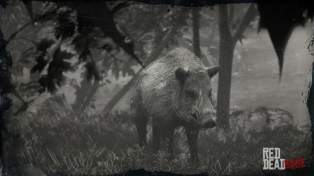 RDR2 Animal LegendaryBoar