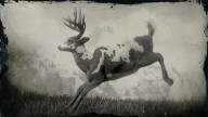 RDR2 Animal LegendaryBuck