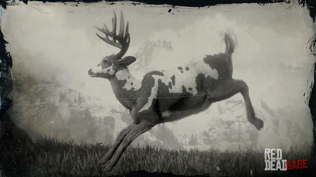 RDR2 Animal LegendaryBuck