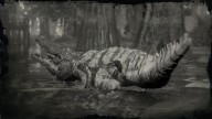 RDR2 Animal LegendaryBullGator