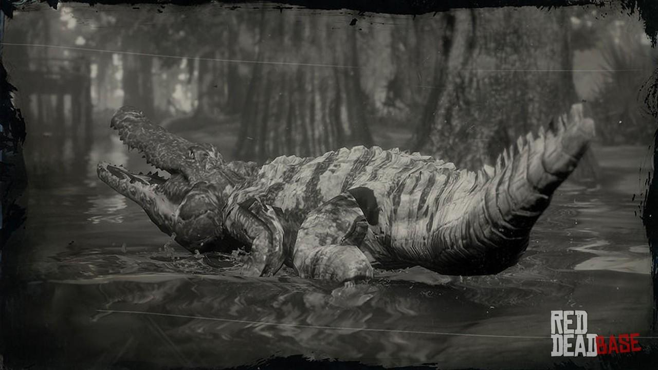 accent lever Australsk person Legendary Bull Gator | RDR2 Animals | Map Location & Where To Find
