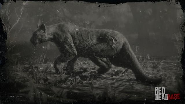 RDR2 Animal LegendaryGiaguaroPanther