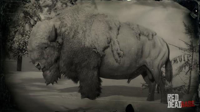 RDR2 Animal LegendaryWhiteBison