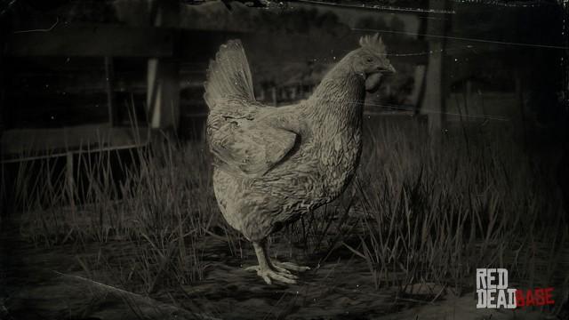RDR2 Animal LeghornChicken