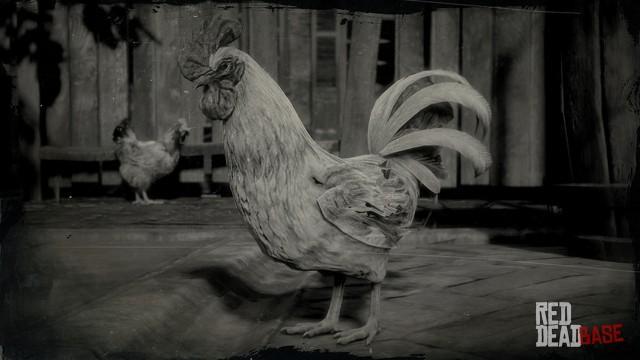 RDR2 Animal LeghornRooster