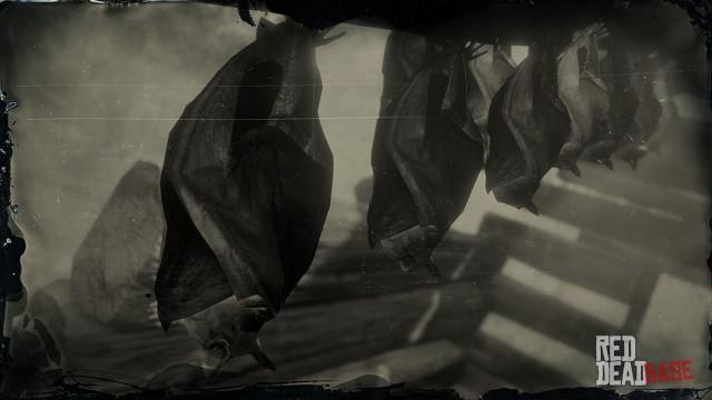 RDR2 Animal LittleBrownBat