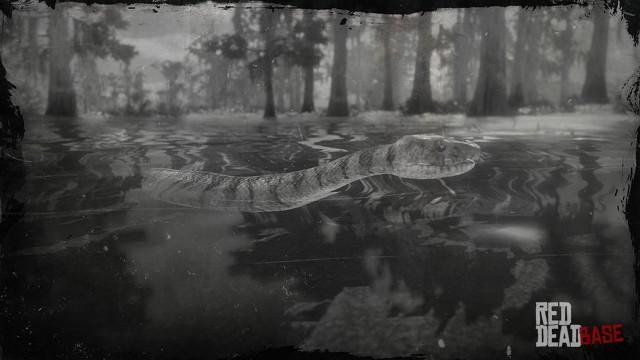 RDR2 Animal MidlandWaterSnake