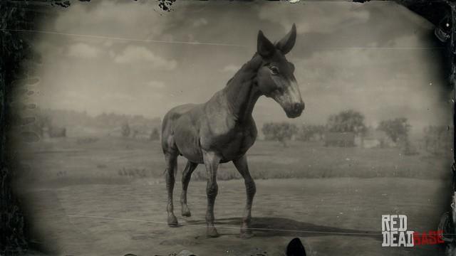 RDR2 Animal Mule