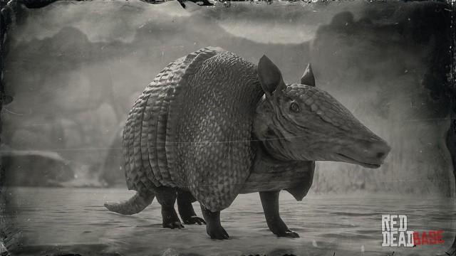 RDR2 Animal NineBandedArmadillo
