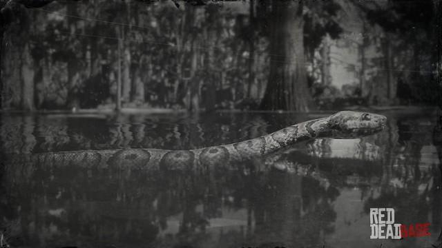 RDR2 Animal NorthernWaterSnake