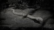 RDR2 Animal RainbowBoaSnake