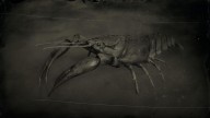 RDR2 Animal RedSwampCrayfish