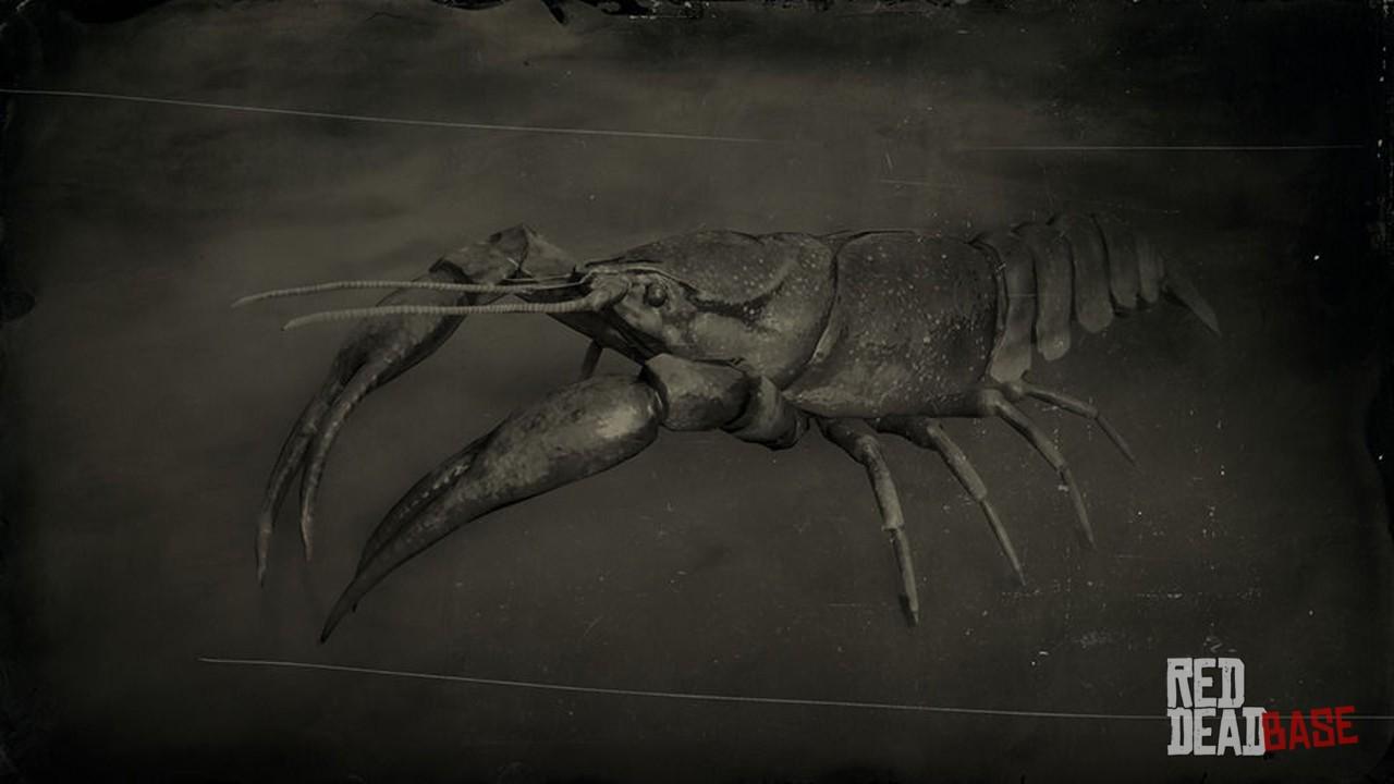 Red Swamp Crayfish, RDR2 Animals