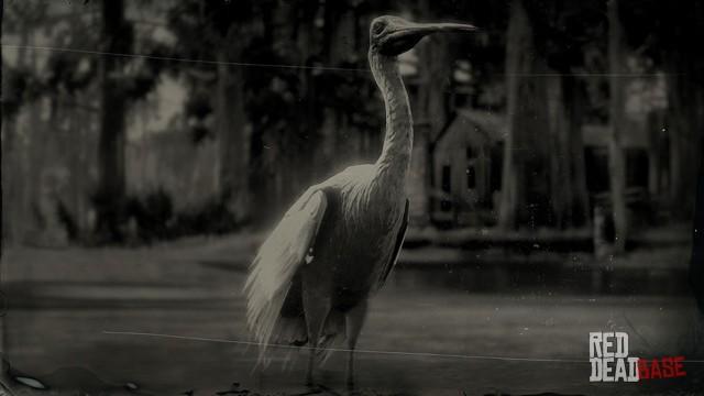 RDR2 Animal RoseateSpoonbill