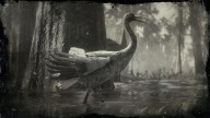 RDR2 Animal SandhillCrane